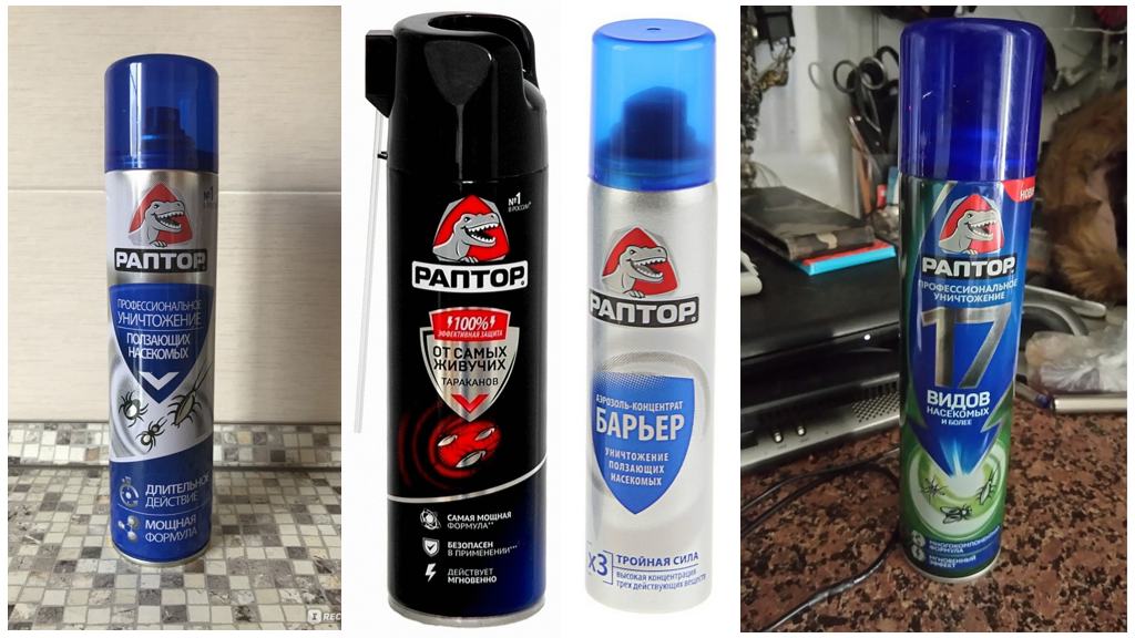Aerosols Raptor mula sa mga ipis