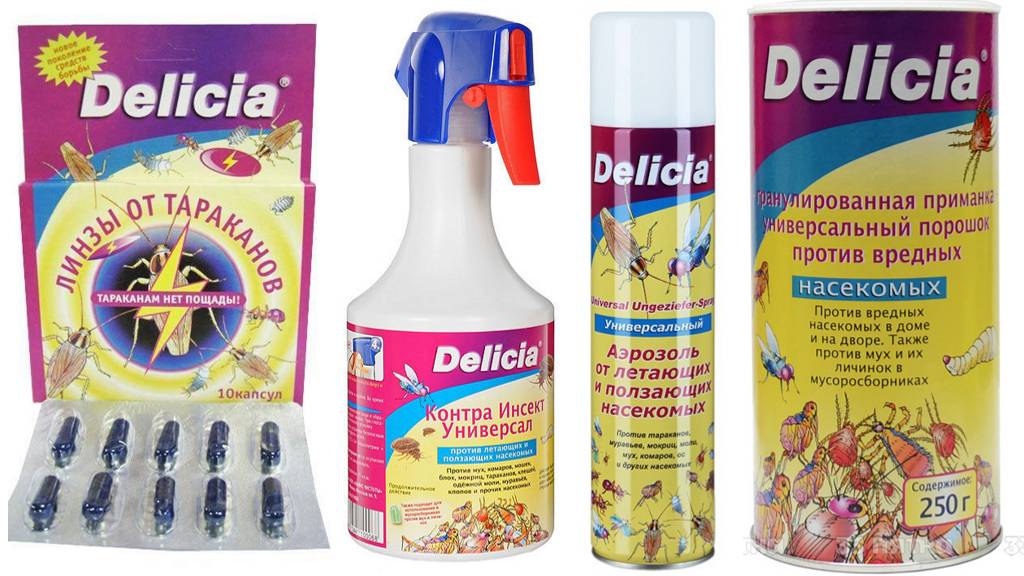 Ipis na si Delicia