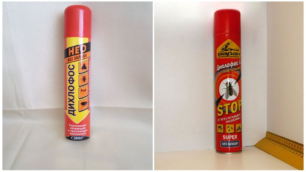 Ang mga Aerosol mula sa mga ipis Dichlorvos
