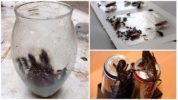 Mga traps ng Do-it-yourself