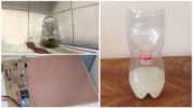 Mga bitag ng DIY ipis