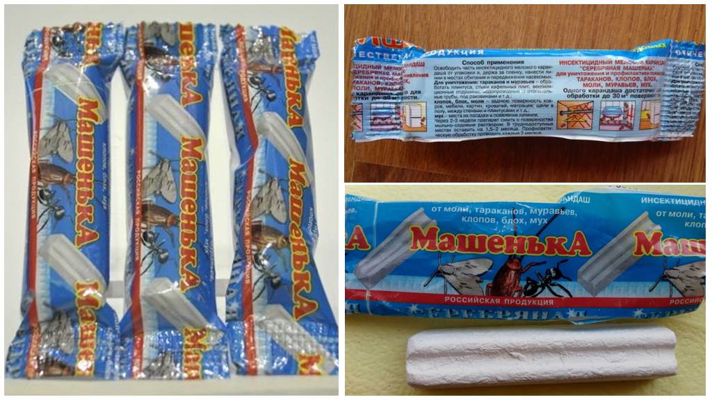 Matita Mashenka e altri pastelli dagli scarafaggi