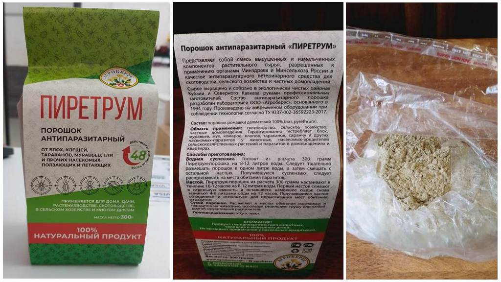 Pyrethrum Powder Mula sa mga ipis