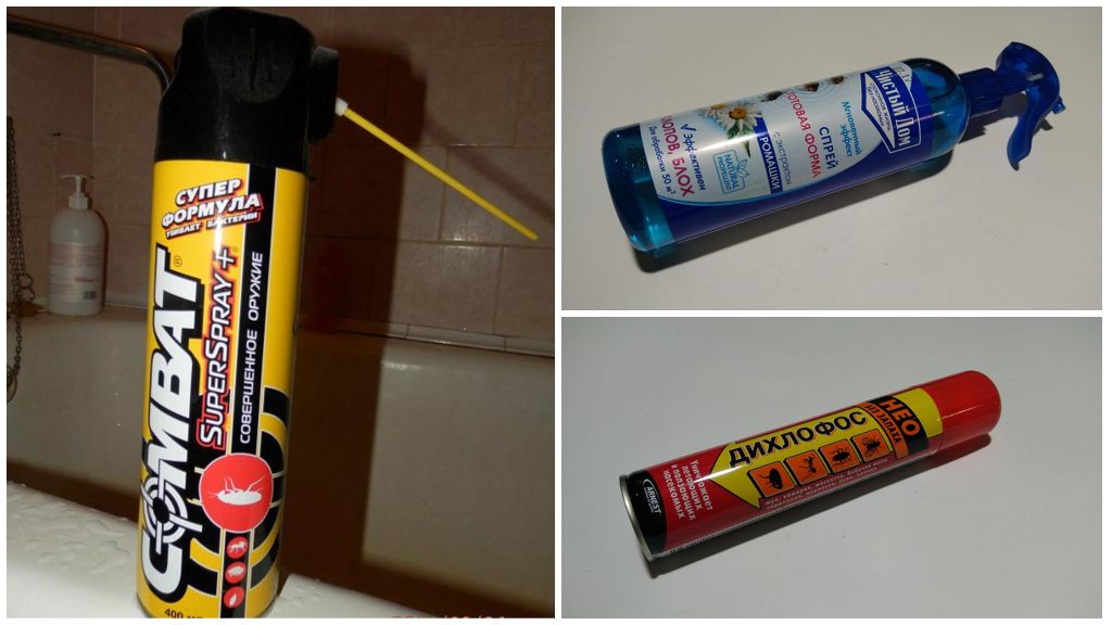 Sprays og aerosoler fra kakerlakker