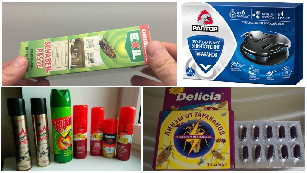 I mezzi e i metodi più efficaci di scarafaggi a casa