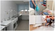 Bekæmpelse af kakerlakker på vandrerhjemmet